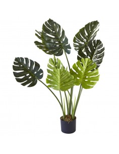Deco plante Olla Vert