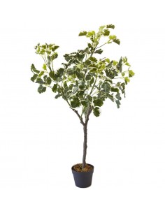 Deco plante Olla Vert
