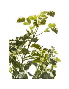 Deco plante Olla Vert 2