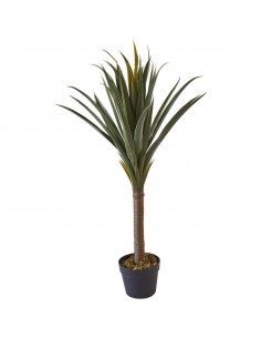 Deco plante Olla Vert