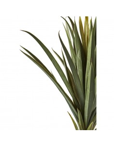 Deco plante Olla Vert 2